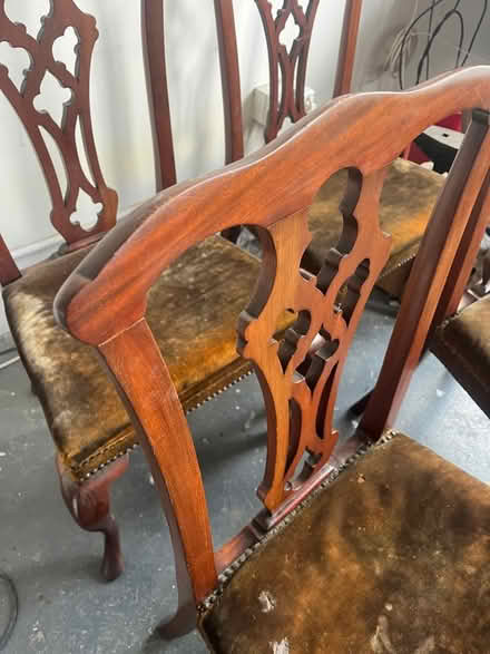 Photo of free Chippendale chairs vintage (E5) #3