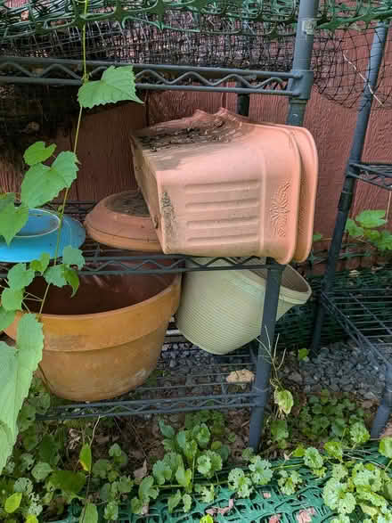 Photo of free Misc pots (near Spring Ridge frederick) #1