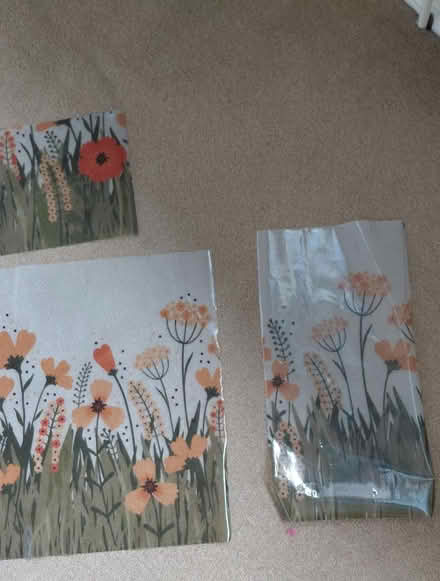 Photo of free Window adhesive freeze (Sheffield S12) #1