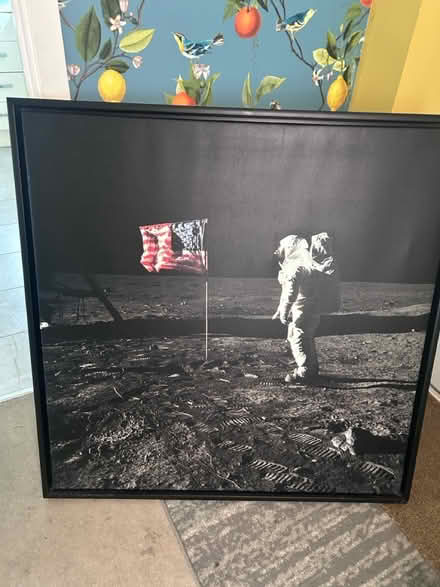 Photo of free Large moon landing canvas (Beaulieu chelmsford CM1) #1