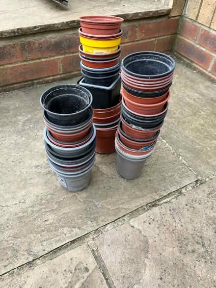 Photo of free Small plant pots (Ware SG12) #1
