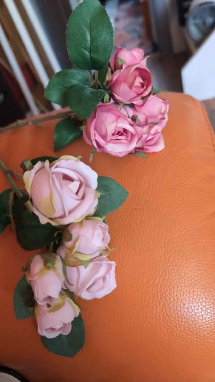 Photo of free Silk roses (Combe Down BA2) #1