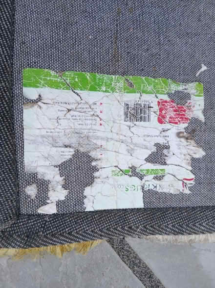Photo of free 170 x120 cms rug (Abingdon OX14) #2