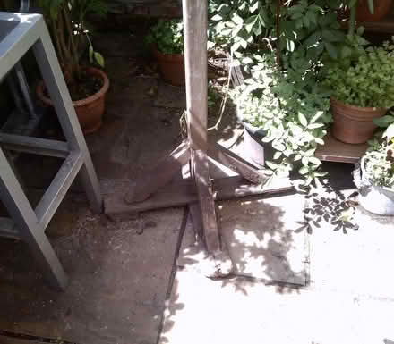 Photo of free Large Bird Table (Canterbury CT2) #2