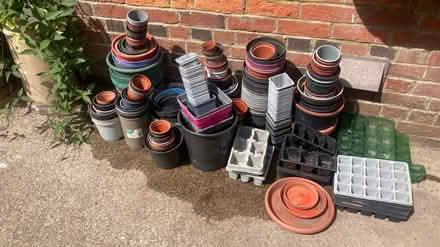 Photo of free Seed trays plastic pots (BA13) #1