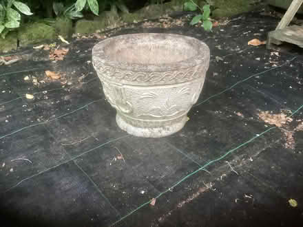 Photo of free Plant containers (Munslow SY7) #2
