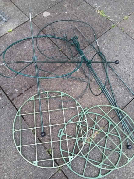 Photo of free Plants supports for garden (Rathmines/Ranelagh) #2