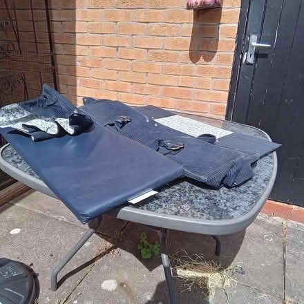 Photo of free Travel carry cot (Loughborough LE11) #2