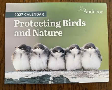 Photo of free 2027 Wall Calendar (Cupertino - DeAnza and 280) #1