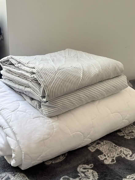 Photo of free Full Sized Mattress and Metal Frame (East Harlem) #3
