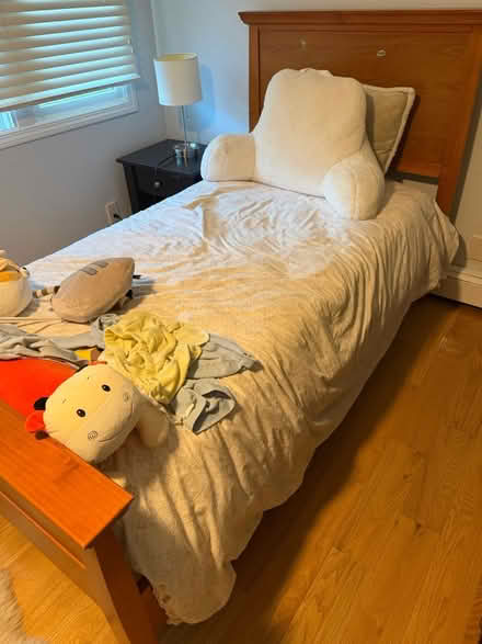 Photo of free Twin size mattress and box (Scarsdale) #1