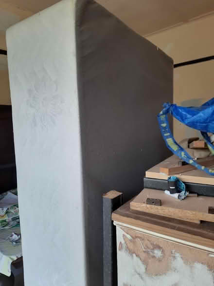Photo of free Single bed base (Cullercoats NE30) #1