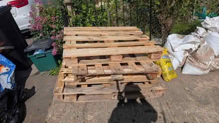 Photo of free Pallets of various sizes (Whiteway BA2) #1