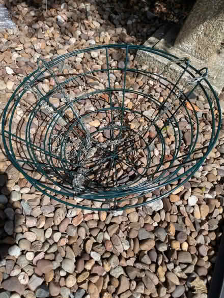 Photo of free hanging baskets (New Marston OX3) #1
