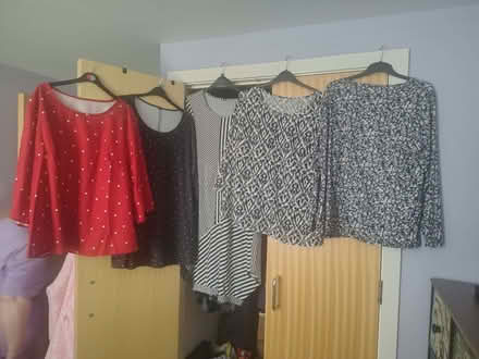 Photo of free Blouses, dress & jumper (Gorgie EH11) #3
