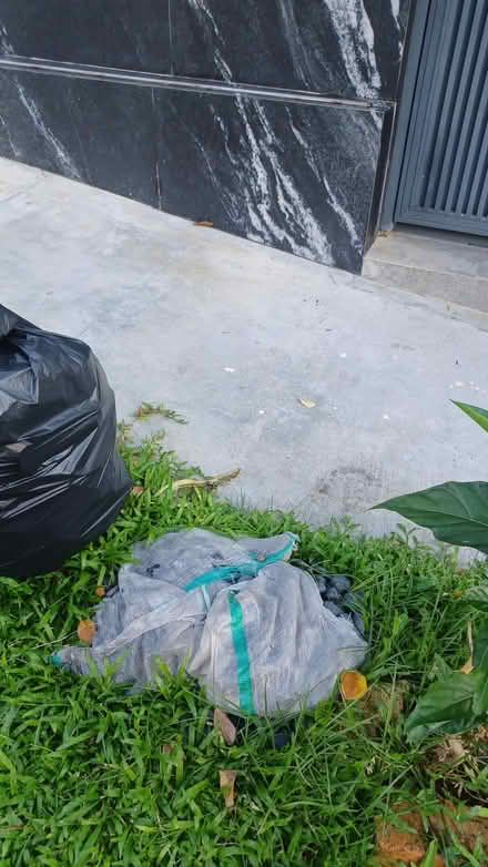 Photo of free garden pebbles (8 Stokesay Drive 555767) #2
