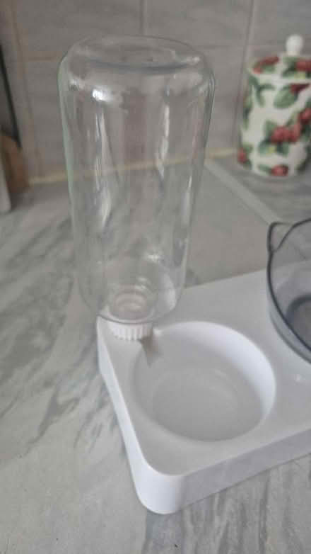 Photo of free cat water + Food bowl (Figge's Marsh CR4) #4