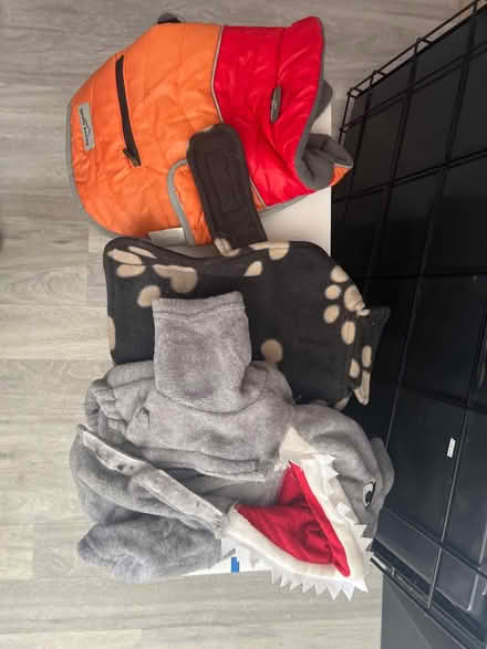 Photo of free Coats for small dog (Mavis & Burnhamthorpe) #4