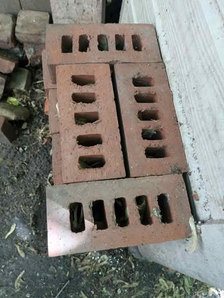 Photo of free Red bricks (Cabbagetown) #2