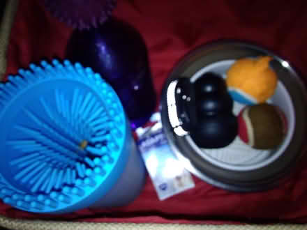 Photo of free Dog/pet supplies (Kensington) #1