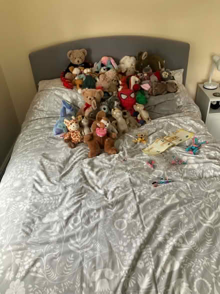 Photo of free Double bed (Crosspool S10) #2