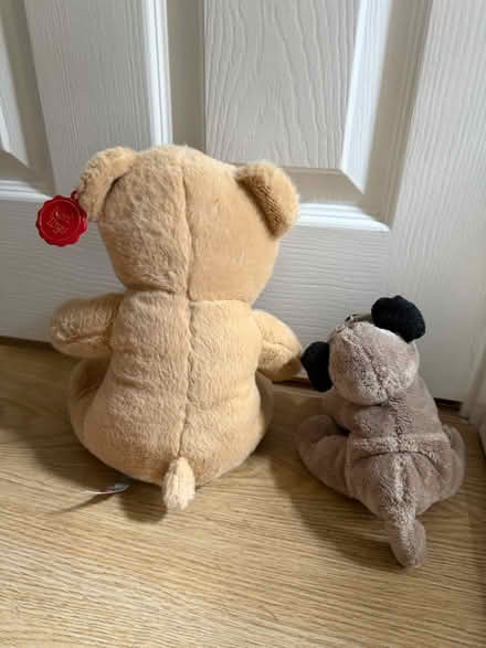 Photo of free Teddies (Tunbridge Wells) #2