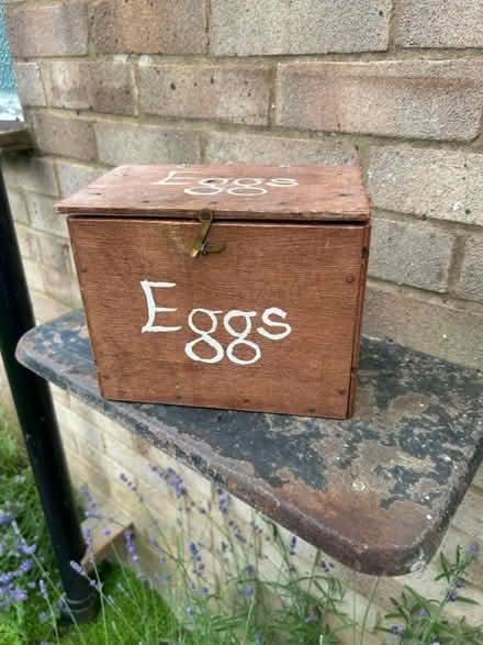 Photo of free Home made egg box (Bletchley MK3) #2