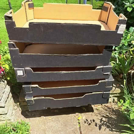 Photo of free Cardboard fruit boxes (Erith DA17) #1
