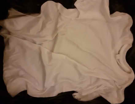 Photo of free Large size plain white tshirt (Birmingham City Centre B4) #1