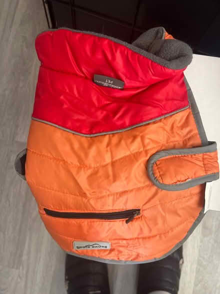 Photo of free Coats for small dog (Mavis & Burnhamthorpe) #3