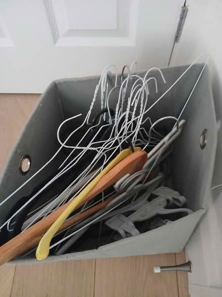 Photo of free Clothes hangars (Lewisham SE3) #3