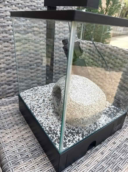 Photo of free Fish tank (GL6 9EL) #4