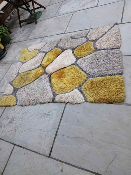 Photo of free 170 x120 cms rug (Abingdon OX14) #1