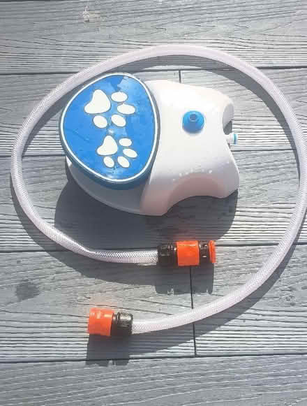 Photo of free Dog fountain (Caldecott OX14) #1