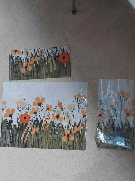 Photo of free Window adhesive freeze (Sheffield S12) #2