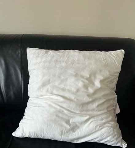 Photo of free Square pillow (65m*65cm) & its lilac (ish) cover (Poplars SG2) #1