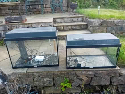 Photo of free 2 tropical fish tanks (Morecambe LA4) #3