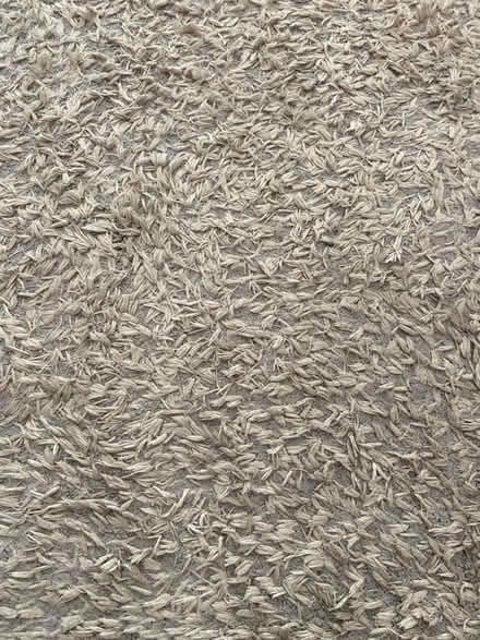 Photo of free Rug (KT2 6ST) #2
