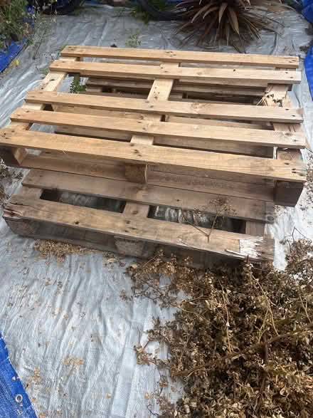 Photo of free Pallets x2 & wood (Northwich, CW9) #1