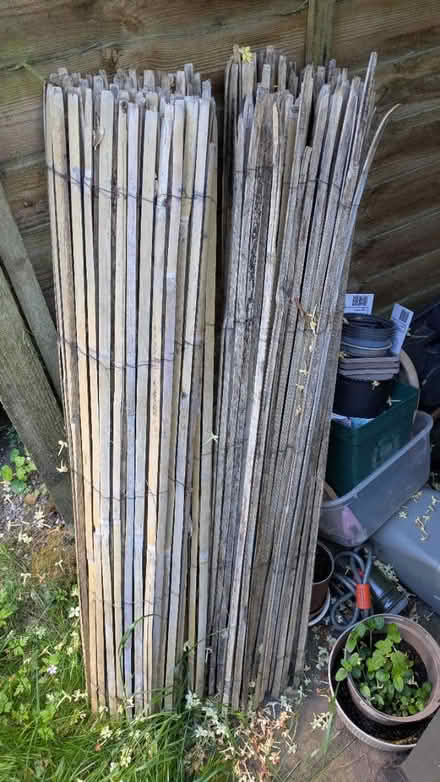Photo of free Bamboo fencing /screen (Stockwell) #1