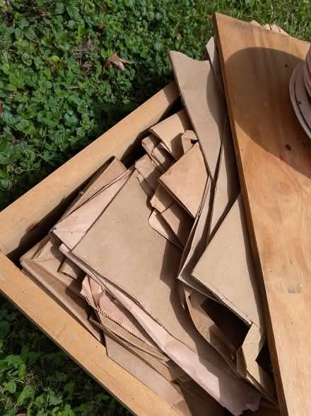 Photo of free Paper grocery bags (near Spring Ridge frederick) #1
