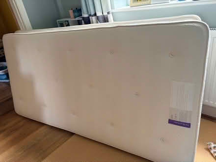 Photo of free Two single mattresses (Alne) #1