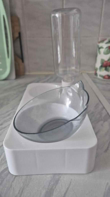 Photo of free cat water + Food bowl (Figge's Marsh CR4) #3