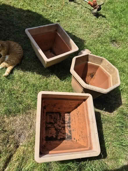 Photo of free large garden pots (Gwespyr CH8) #1