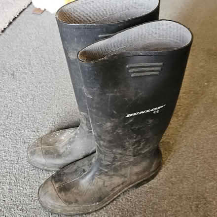 Photo of free Wellington boots, size 7, 41. (Grange Farm IP5) #1