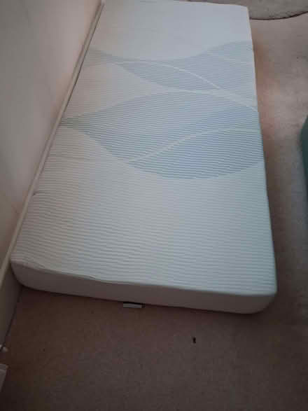 Photo of free Single clean foam mattress with washable cover (Mannings Heath RH13) #1