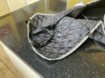 Photo of free Dog carrier (Melksham Without SN12) #2