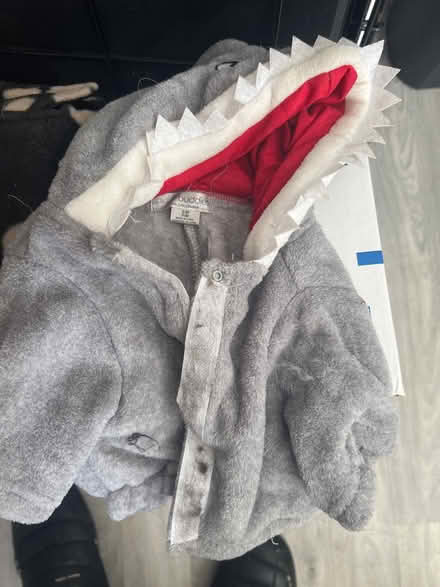 Photo of free Coats for small dog (Mavis & Burnhamthorpe) #1