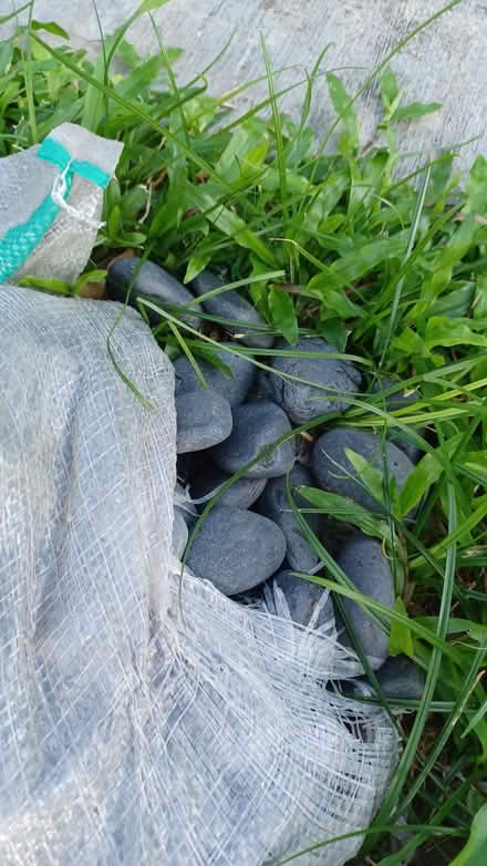 Photo of free garden pebbles (8 Stokesay Drive 555767) #1