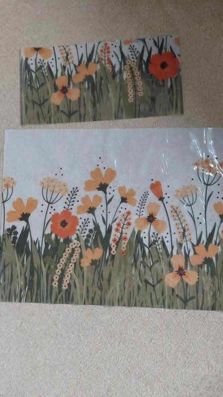 Photo of free Window adhesive freeze (Sheffield S12) #3
